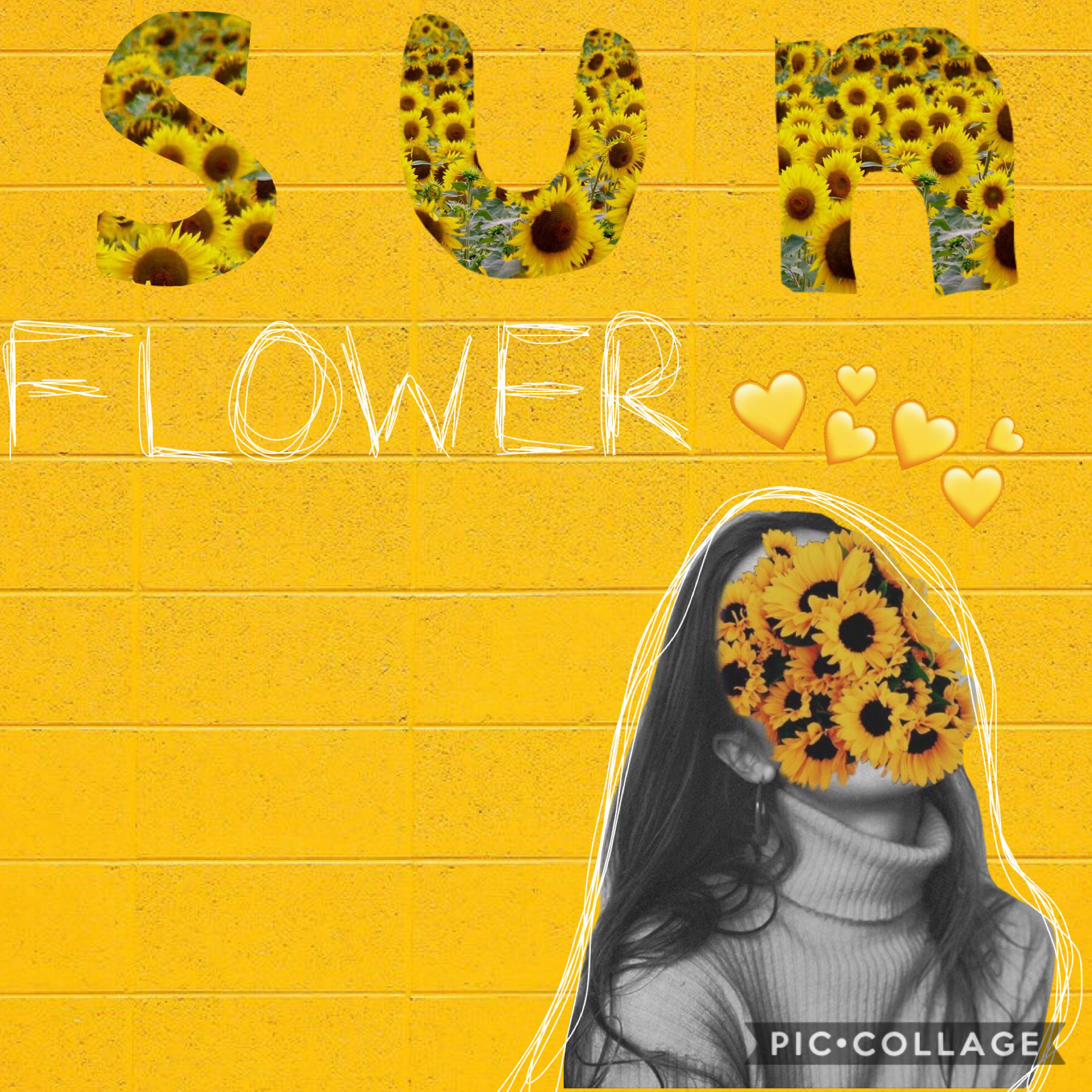 Sunflower vibezzz