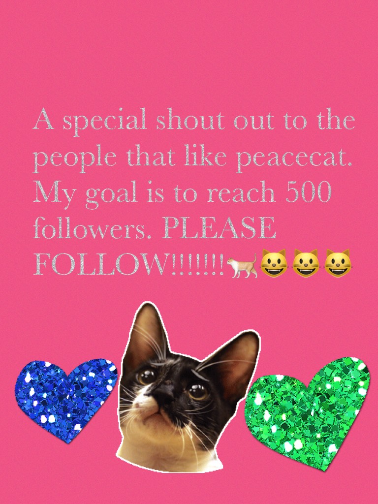 A special shout out to the people that like peacecat. My goal is to reach 500 followers. PLEASE FOLLOW!!!!!!!🐈😺😺😺