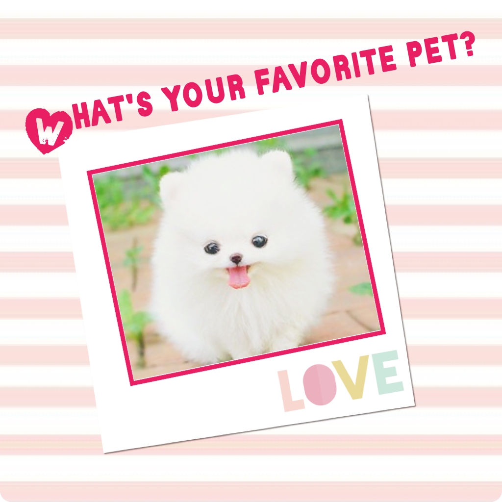 What's your favorite pet?