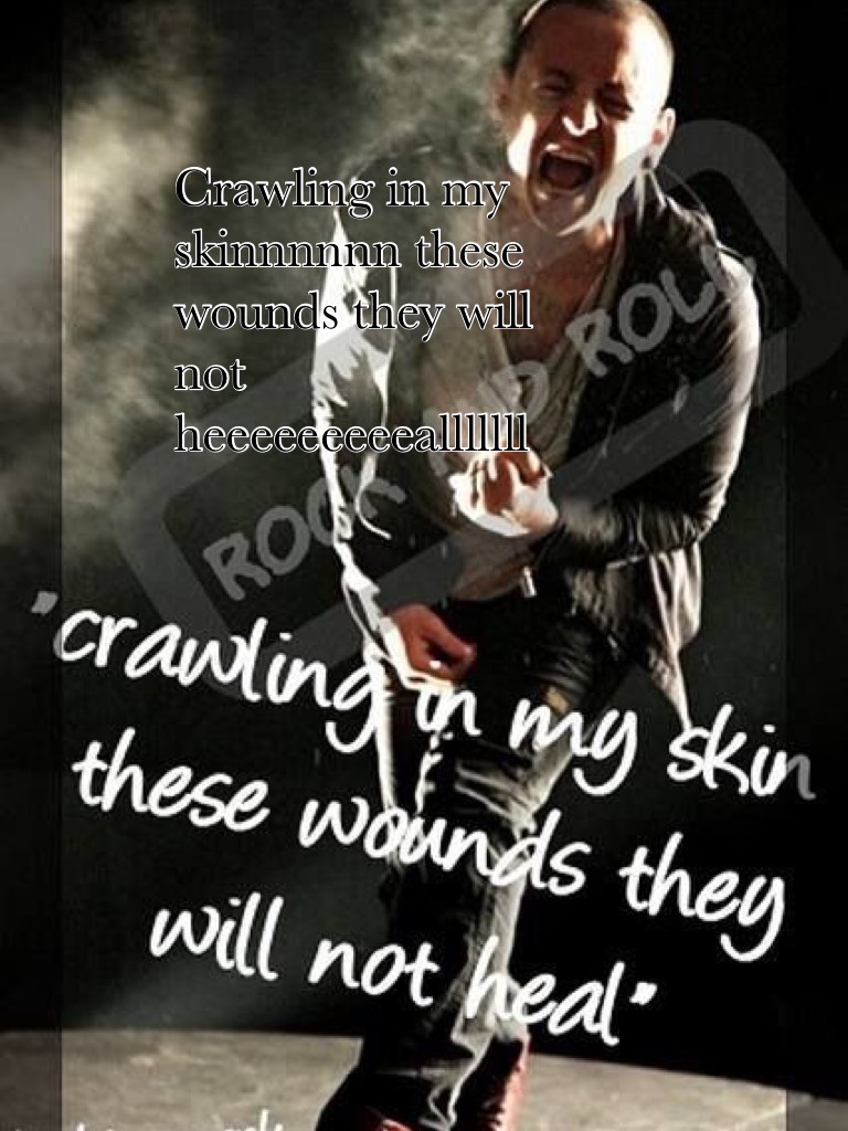 Crawling in my skinnnnnn these wounds they will not heeeeeeeeealllllll