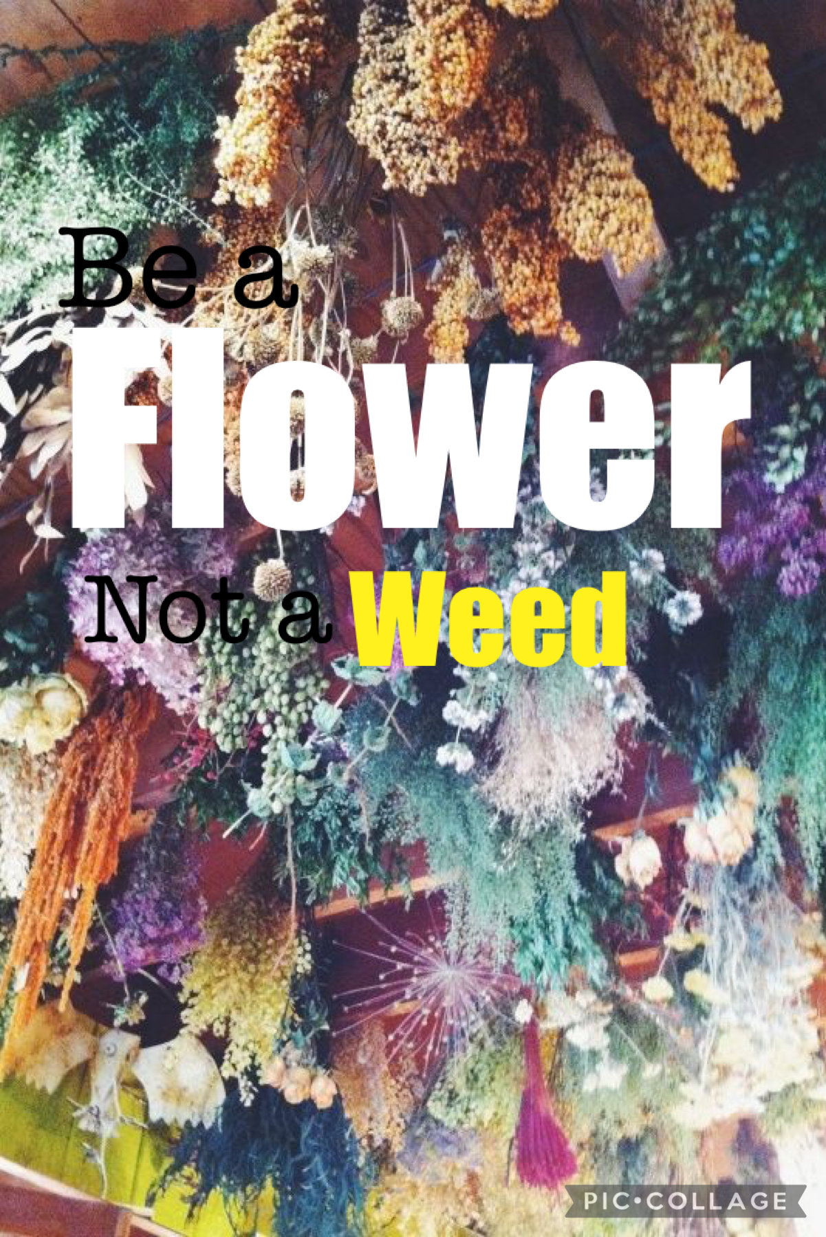 Be a flower not a weed