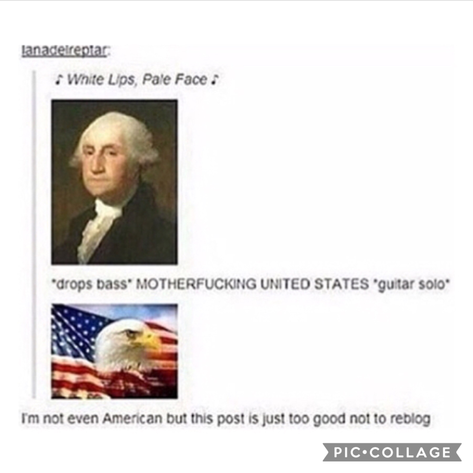 Happy late fourth to my fellow 'mericans