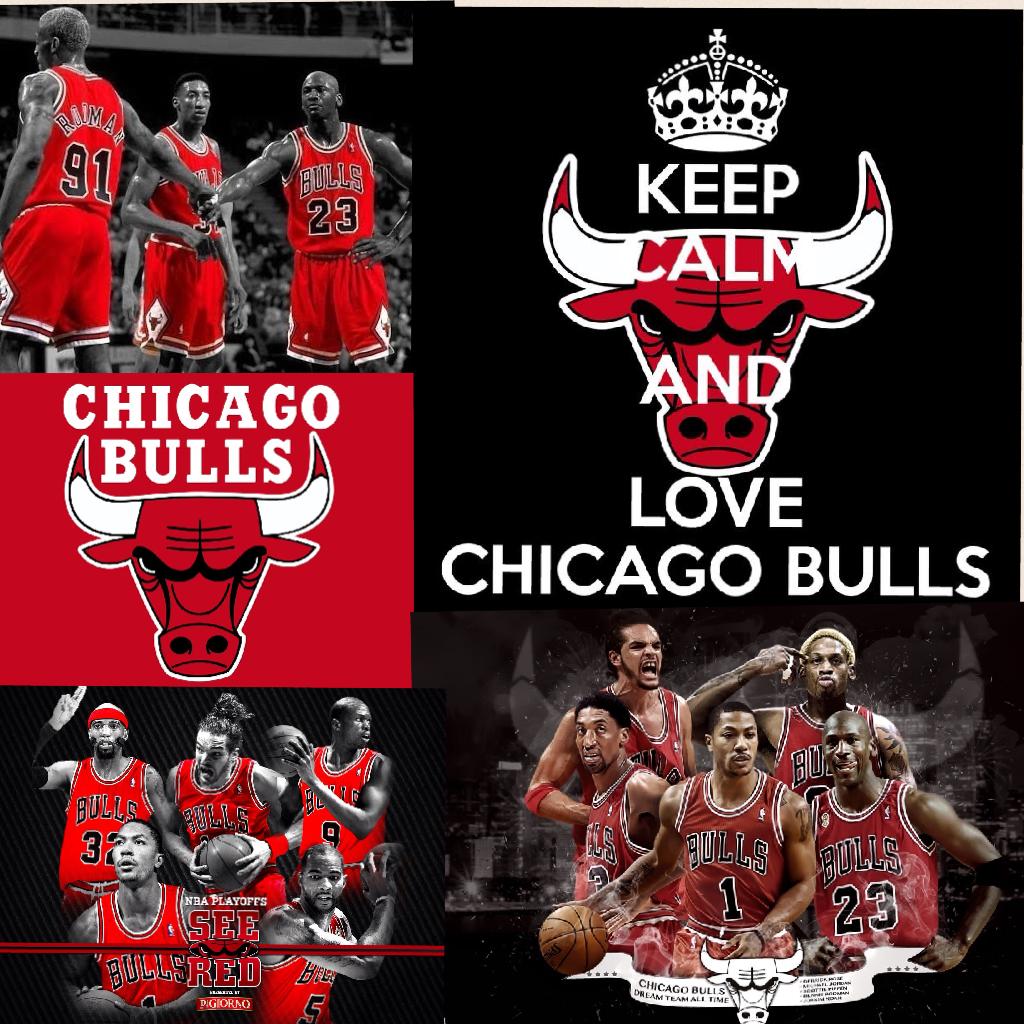 Go chicago bulls