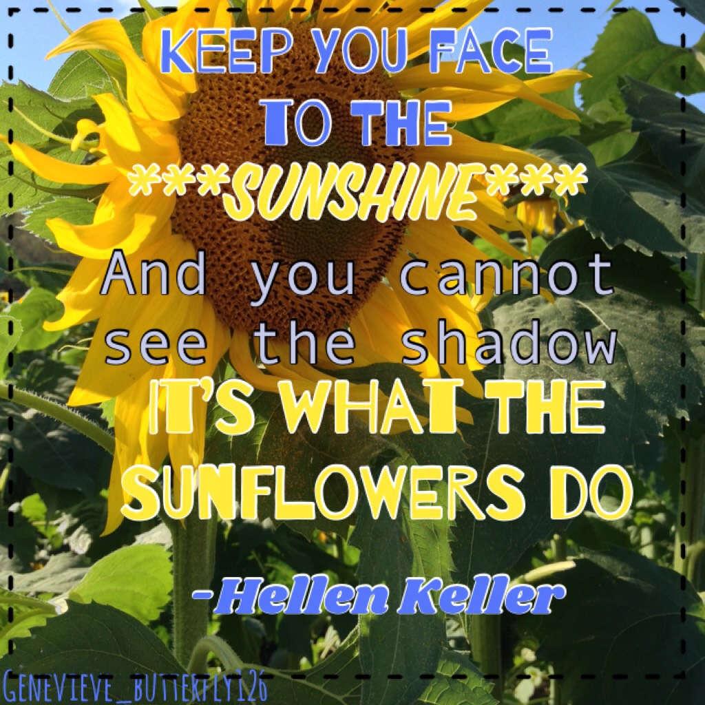 Be a sunflower and stay positive😀🌻🌻🌻