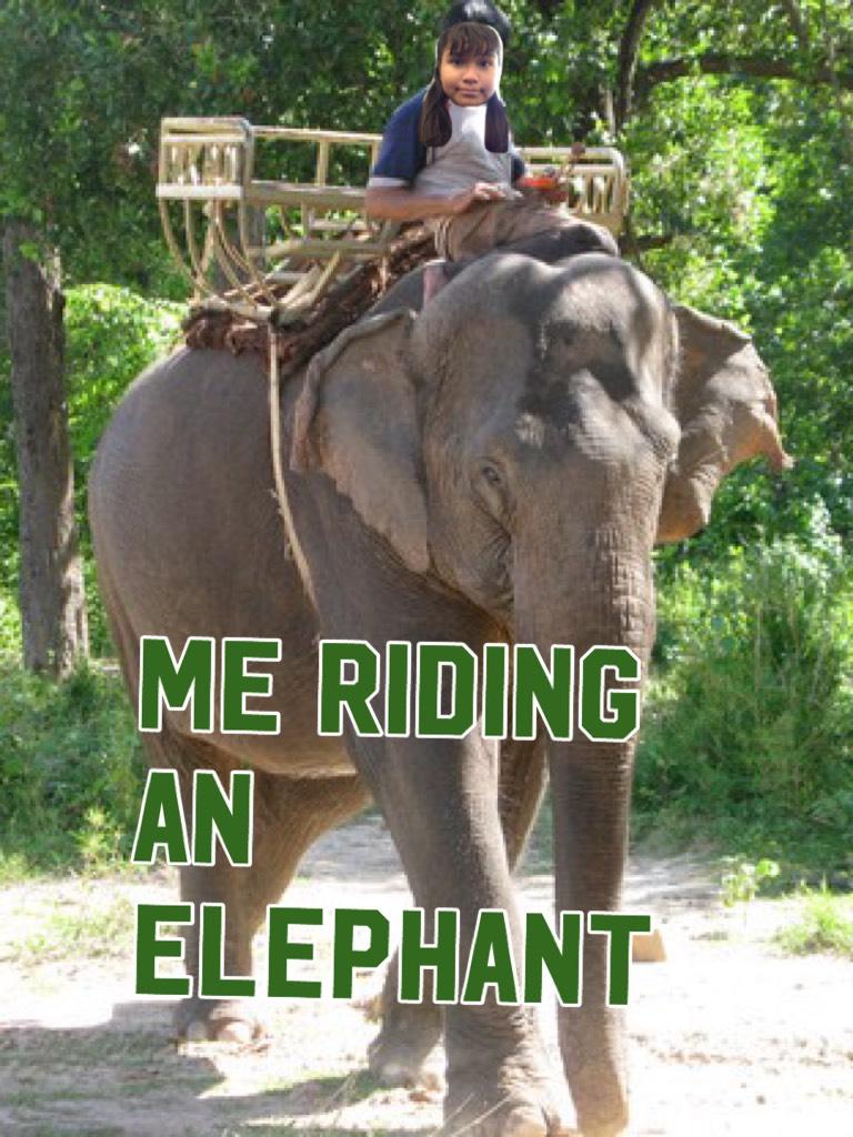 Me riding an elephant 