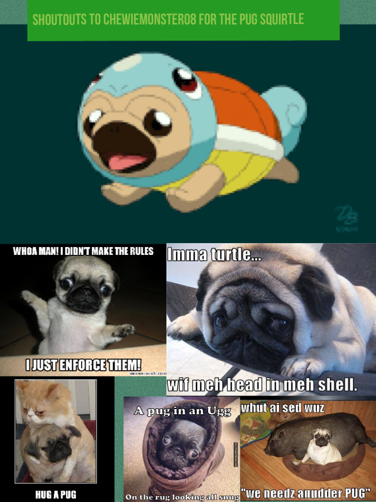 Shoutouts to chewiemonster08 for the pug squirtle