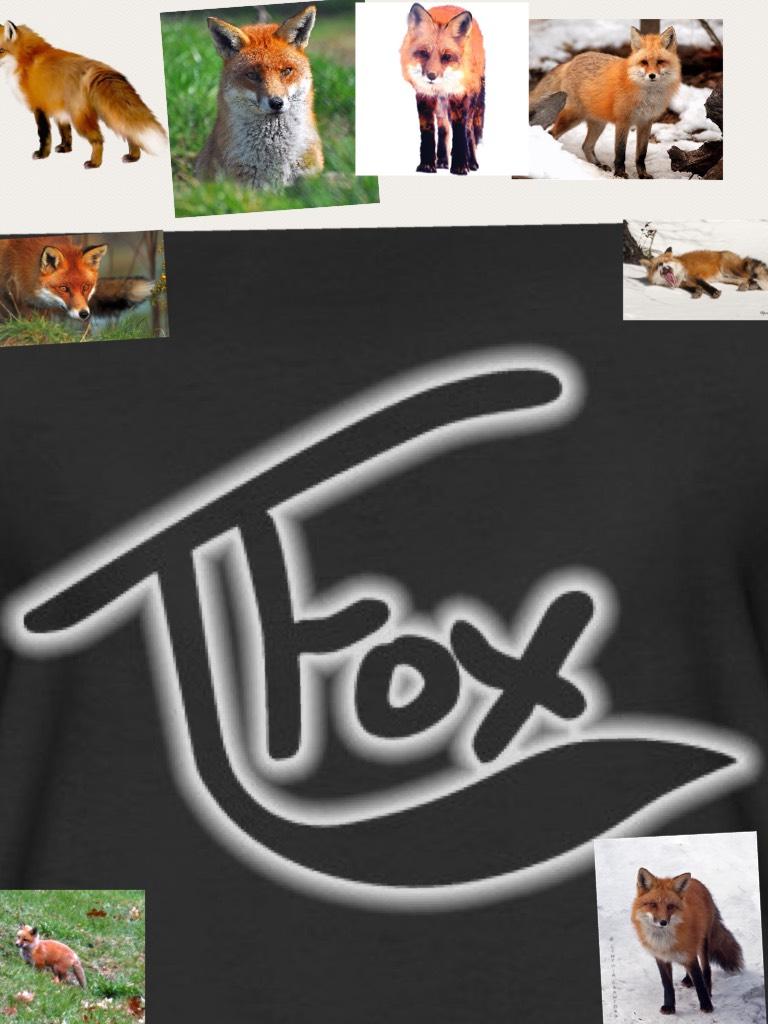 T fox 1 