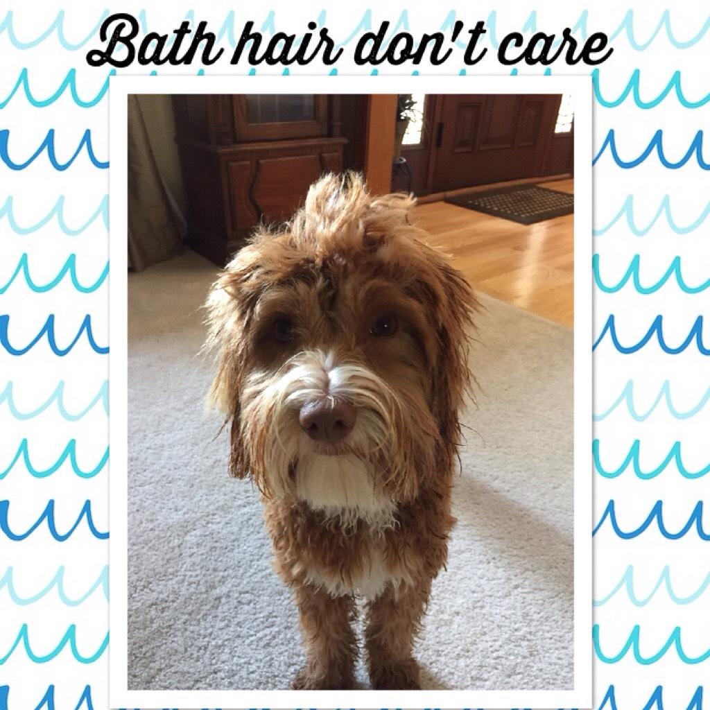 Bath hair don't care!!! Lol 😂 he just had a bath