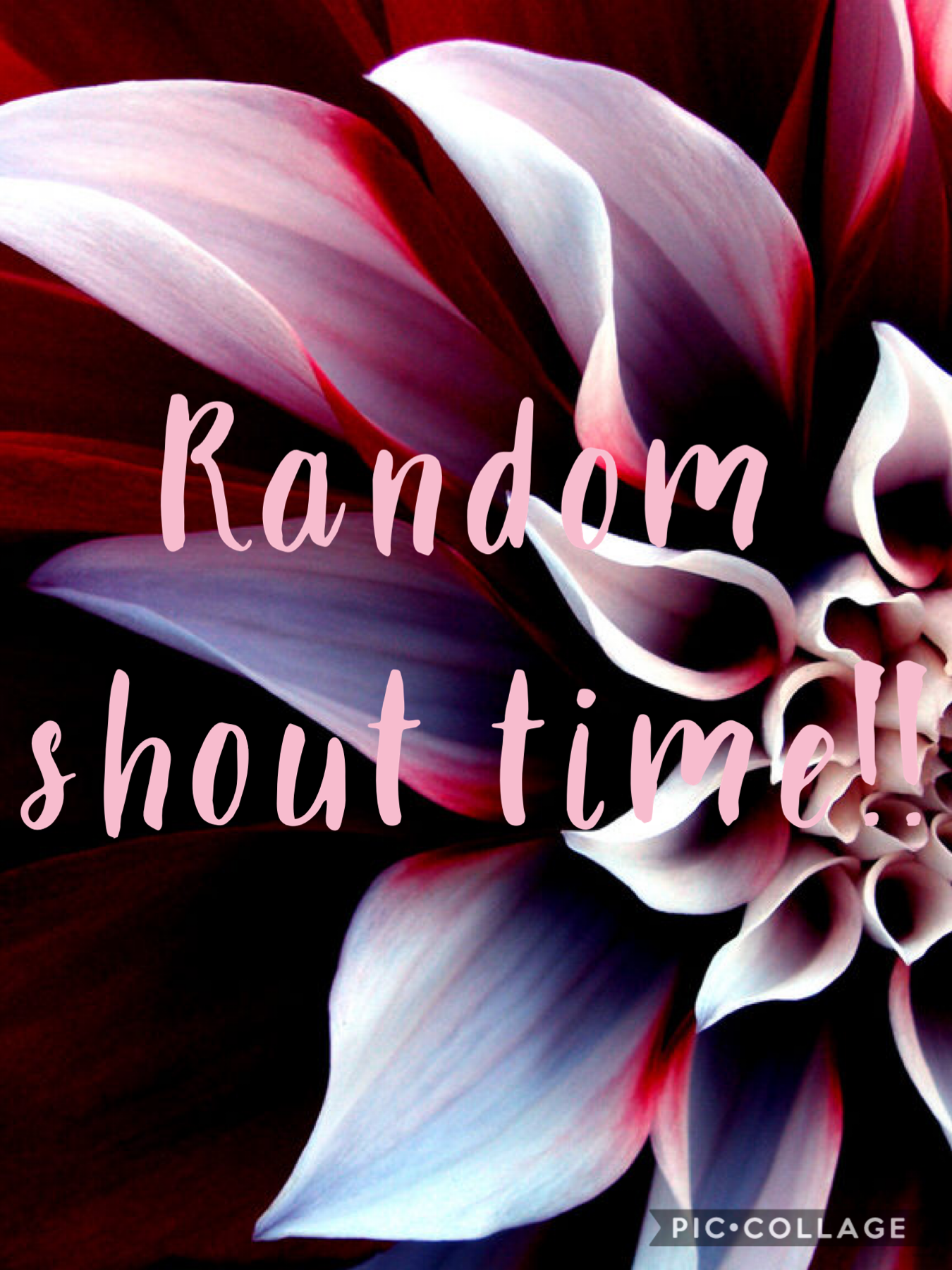 Random shoutout time!!! I will pick a random account and give them a shoutout!