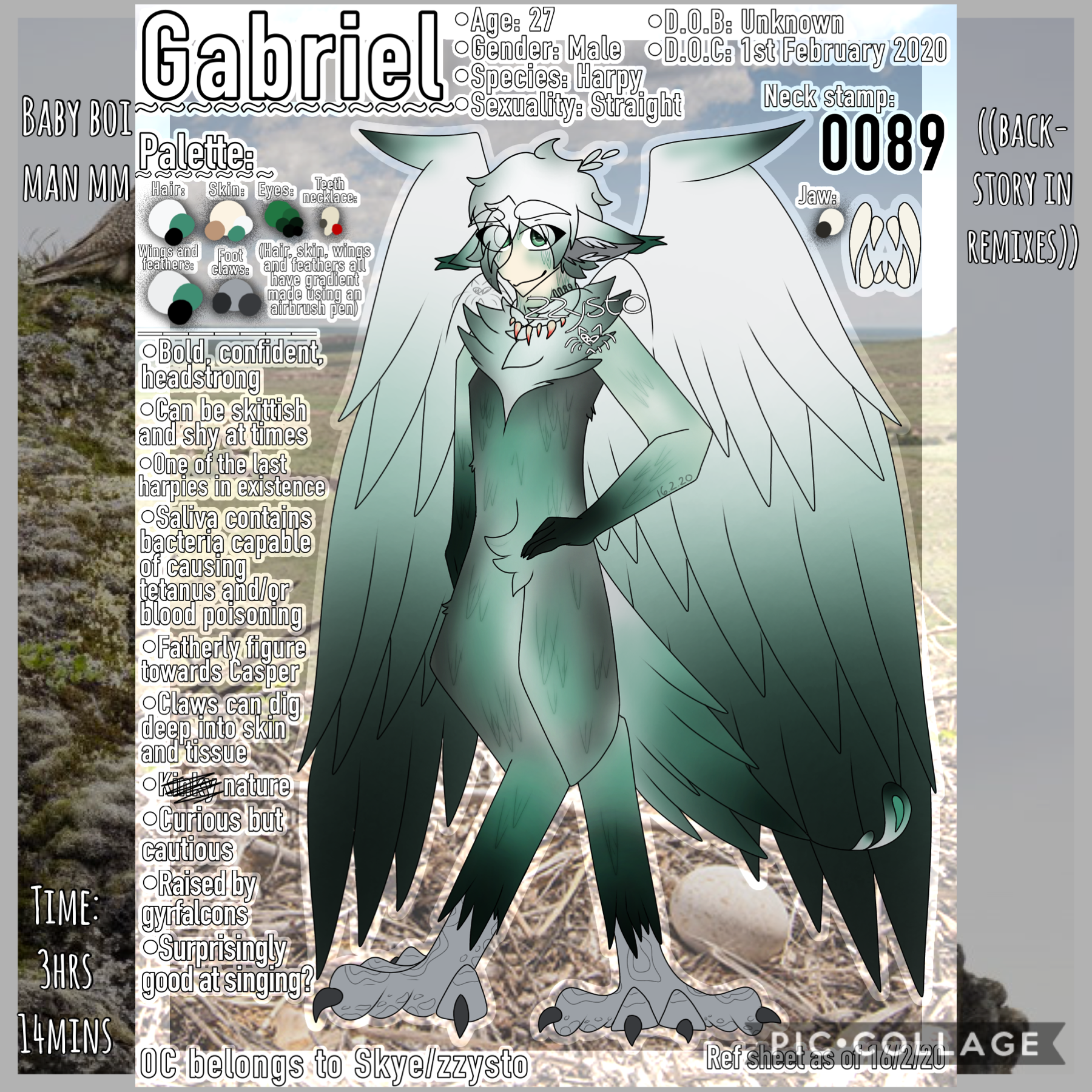 🕊🦅Tap🦅🕊
-backstory summery in remixes-
Here’s a ref for Gabriel I never posted lol,, I love him a lot a-
(I messed up his feet but shhh)
His name was Mintos, but it was stüpid so he’s now Gabriel :’)