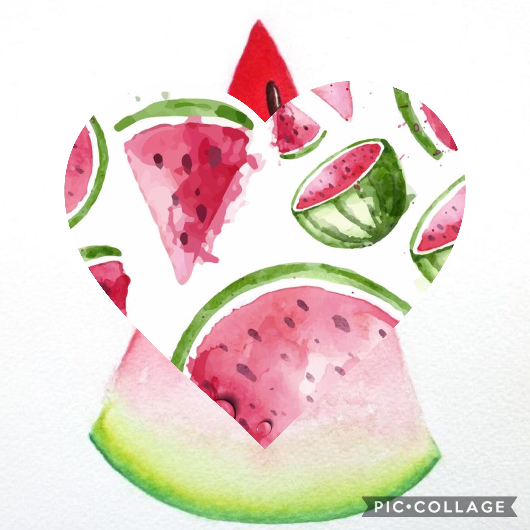 Watermelon


Please do not copy