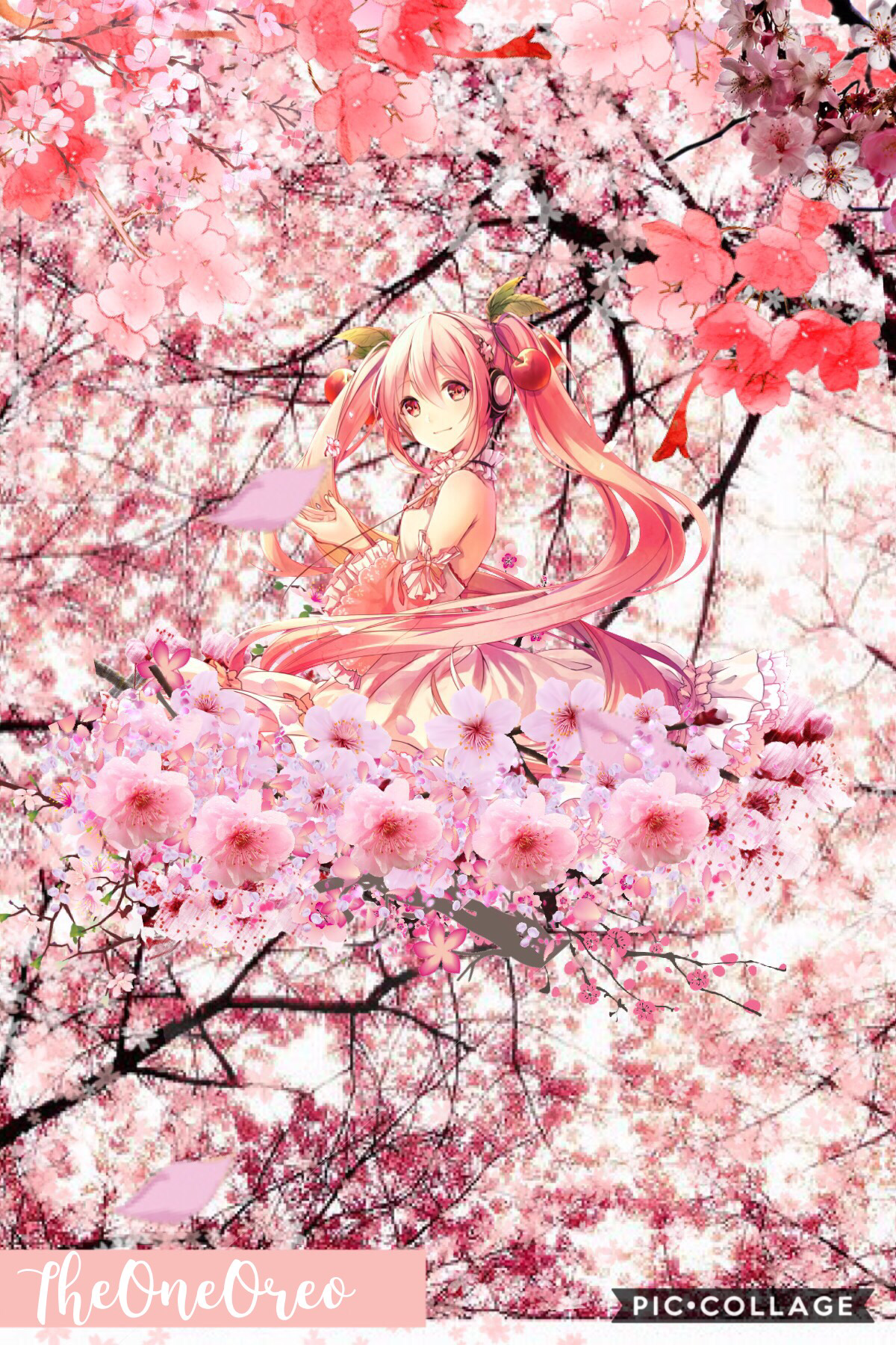 🌸Sakura🌸 (REPOST/TAP💝)

 Reposted this without text.

It looks better imo, what do you 
guys think? 