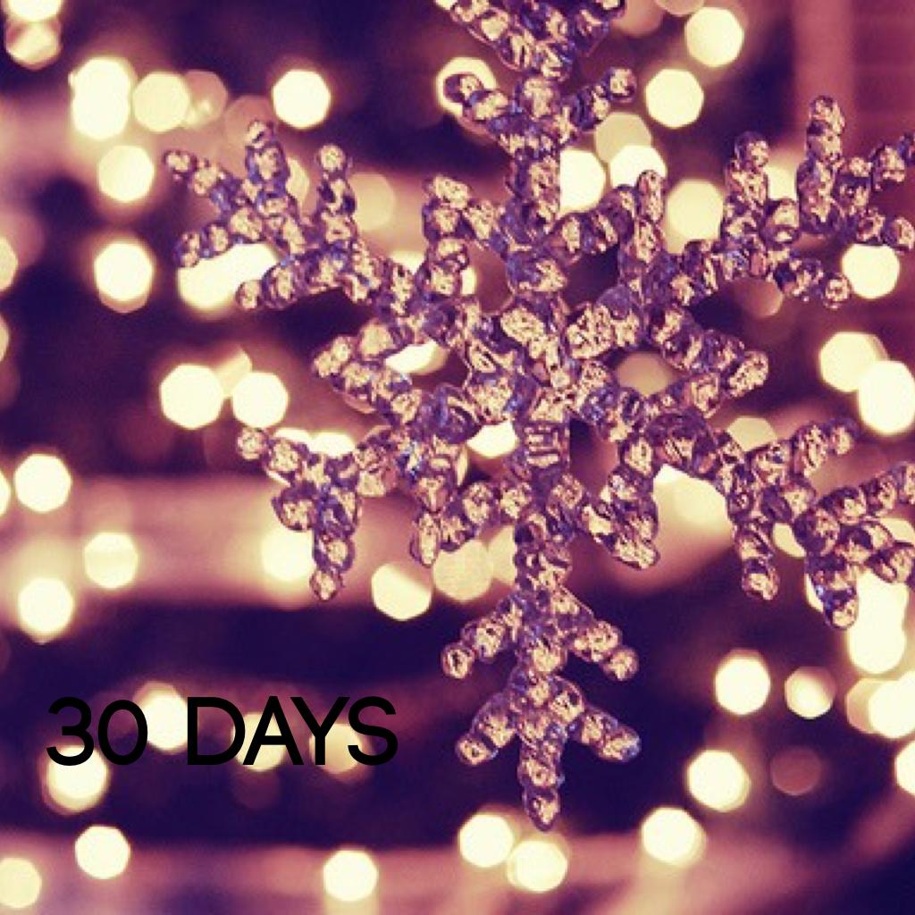 30 days till Christmas! I'll be posting a Christmas countdown.