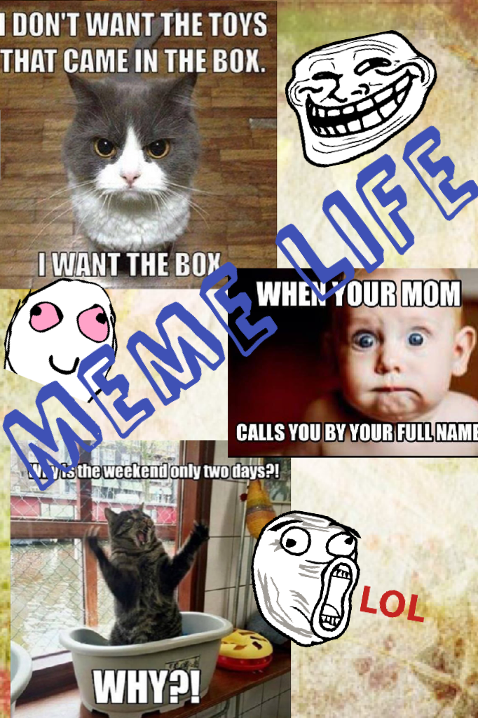 Meme life