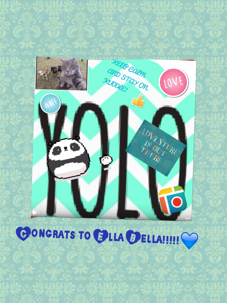 Congrats to Ella Bella!!!!!💙 she is the winner of my piccollage contest I had on Kuddle!! 