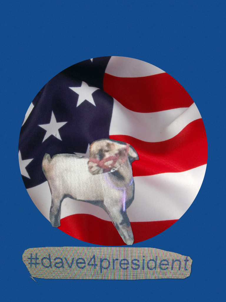 #daveforpresident like if you would vote for Dave