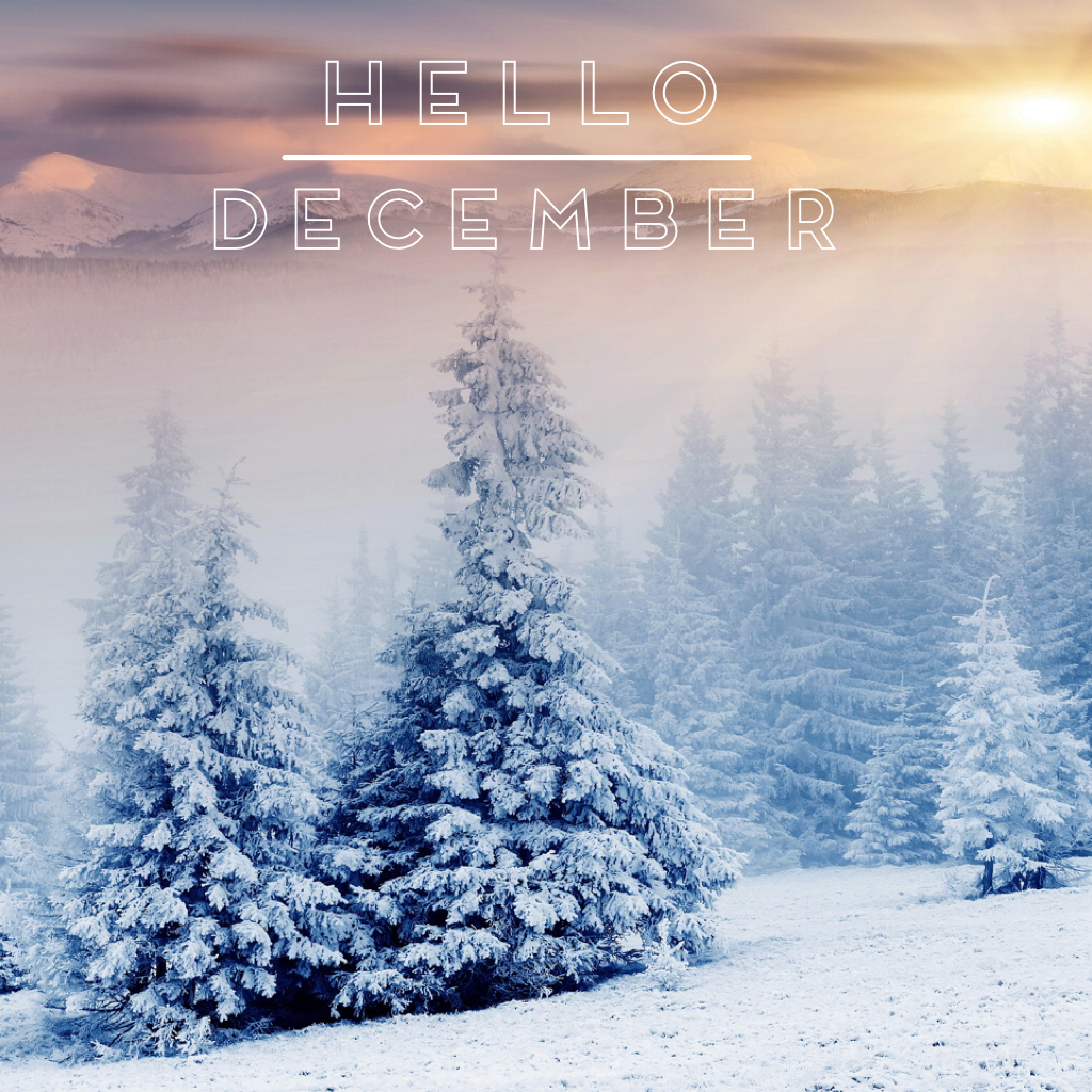Say hello to "December" 