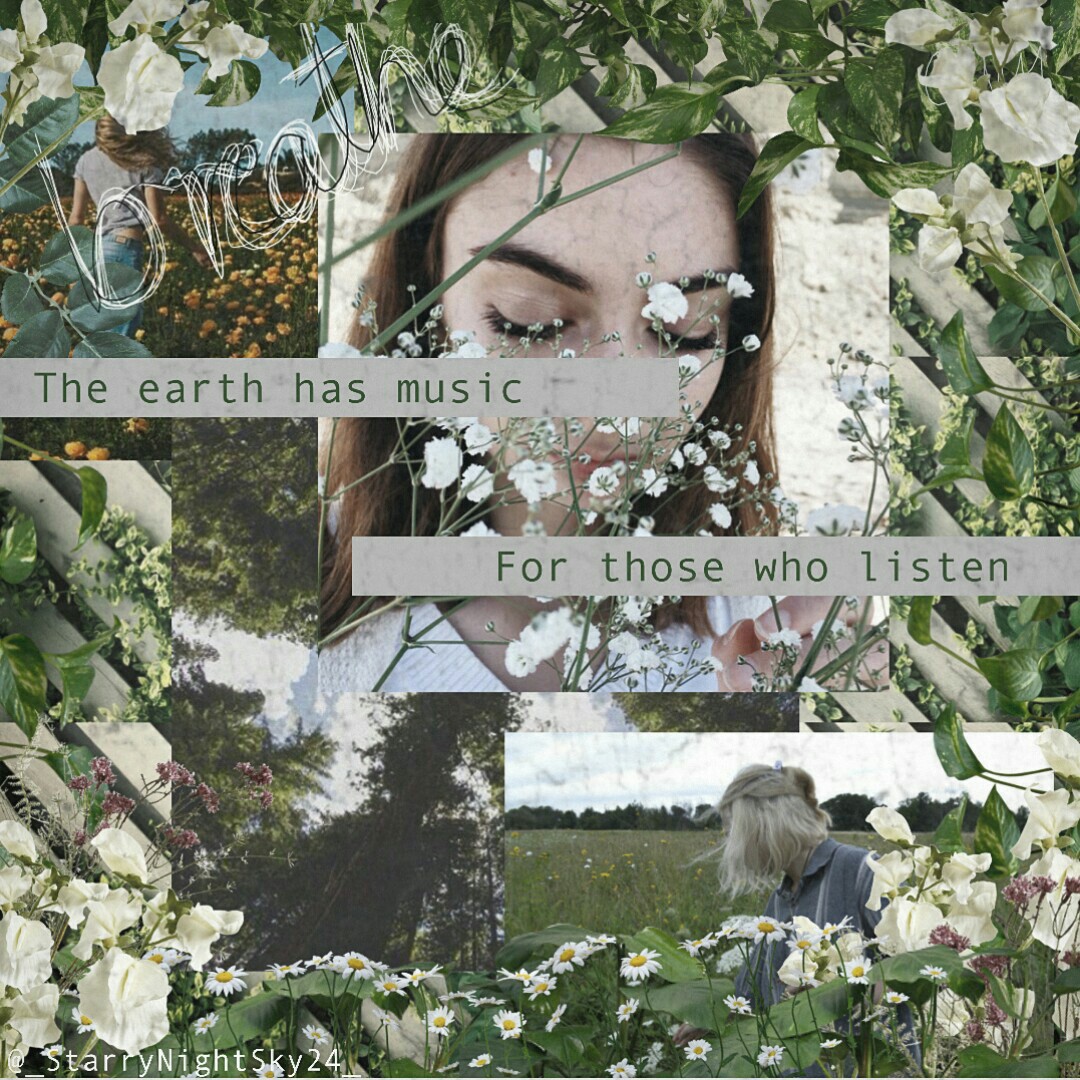 🌿Inspired by @buttered-popcorn which was inspired by @findingflowers lol.🌿
🌿Anyway what do you think? And can we get this to 25 likes??🌿
🌿~16•11•17~🌿
⛼Goodnight!!⛼
🌿tags: PConly @buttered-popcorn @findingflowers aesthetic vintage🌿