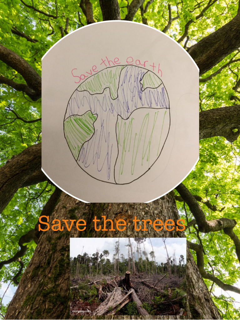Save the trees
