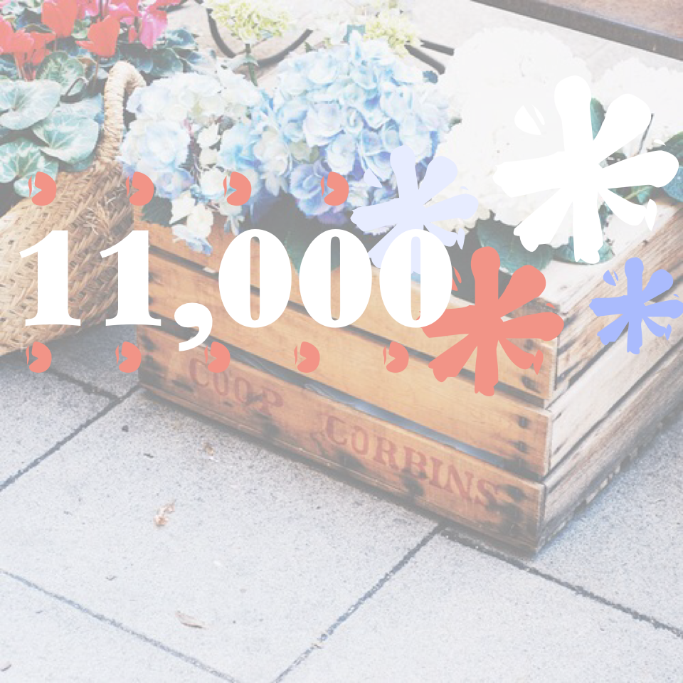 🌿CLICK🌿

Thank you so much for 10k and now 11k!!! I am so sorry for being inactive. I've been so busy recently! ☺️💗
