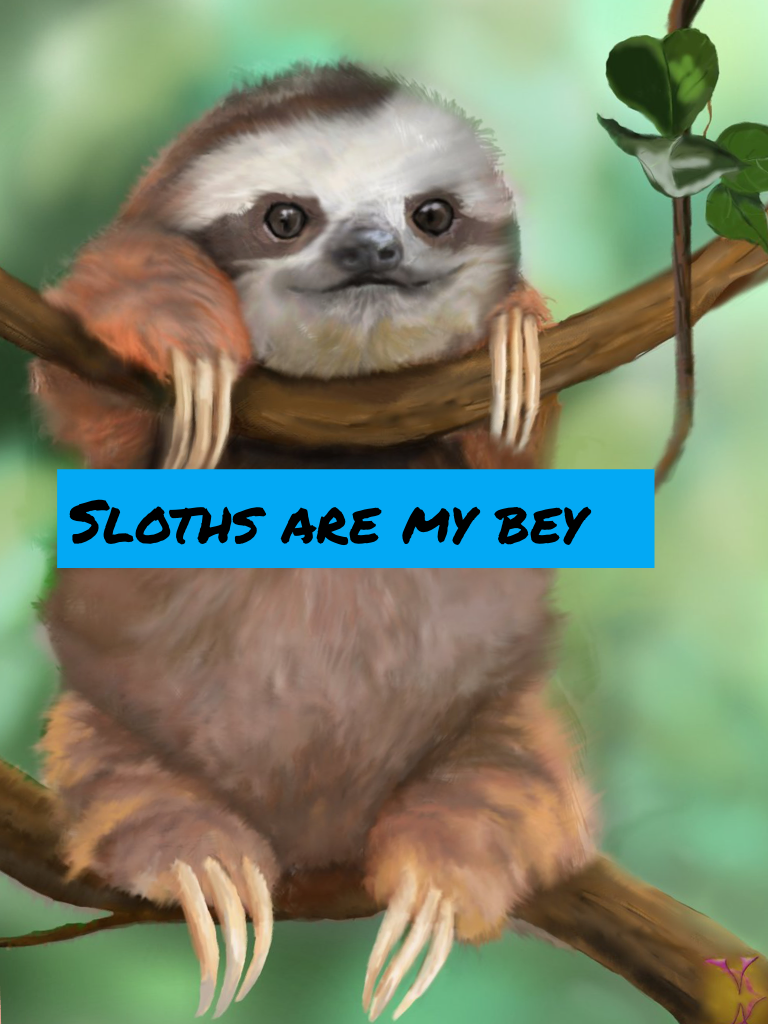 Sloths are my bey because they are soooo cool 