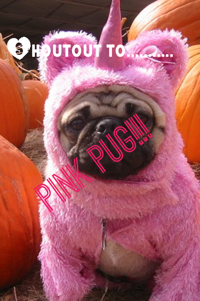 Pink Pug!!!