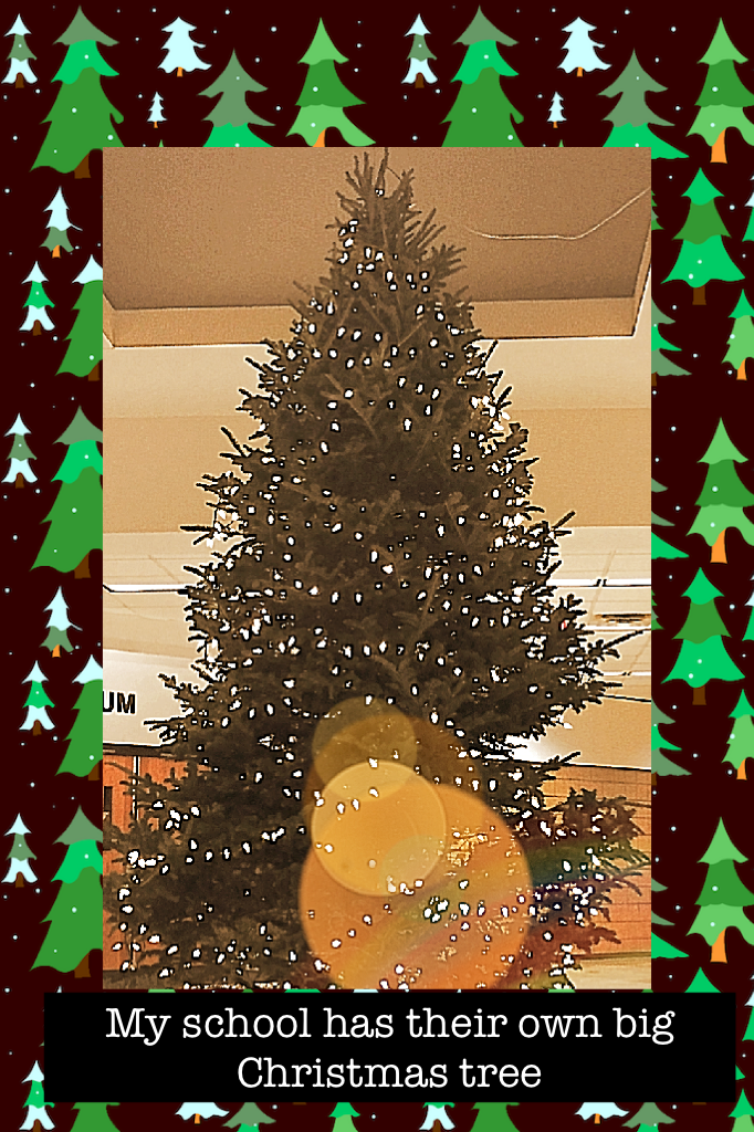 My school has their own big Christmas tree