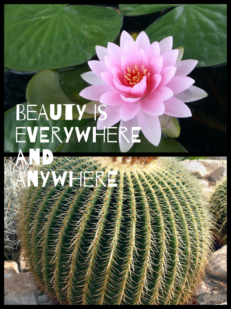 Beauty is everywhere and anywhere 