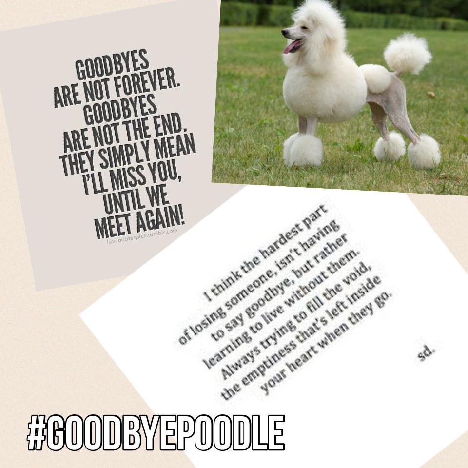 #goodbyepoodle