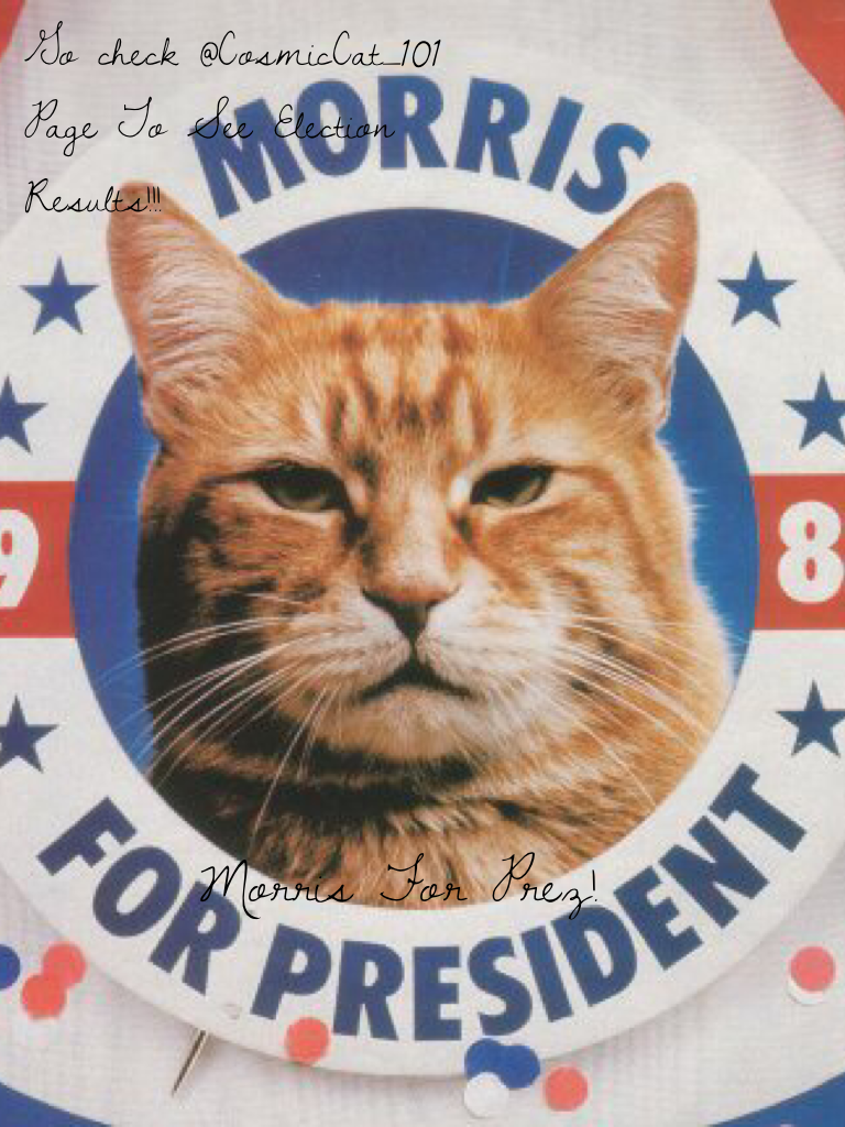  Morris For Prez!