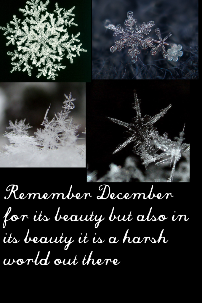 Remember December for its beauty but also in its beauty it is a harsh world out there 