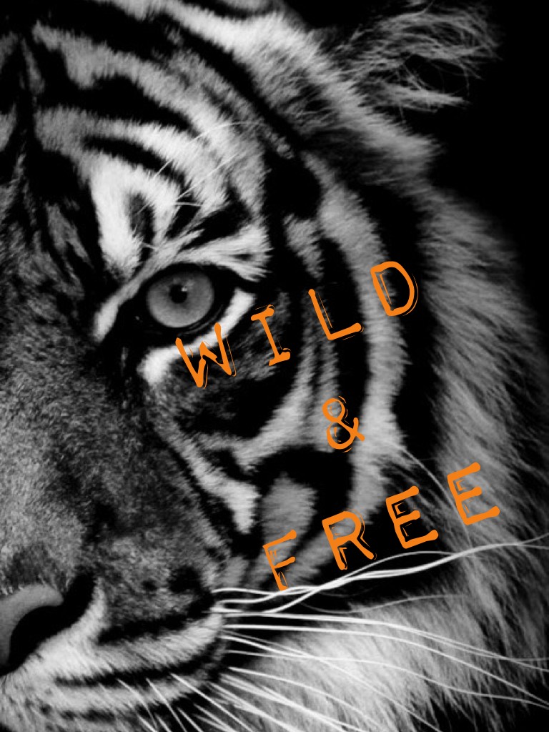 Wild & free