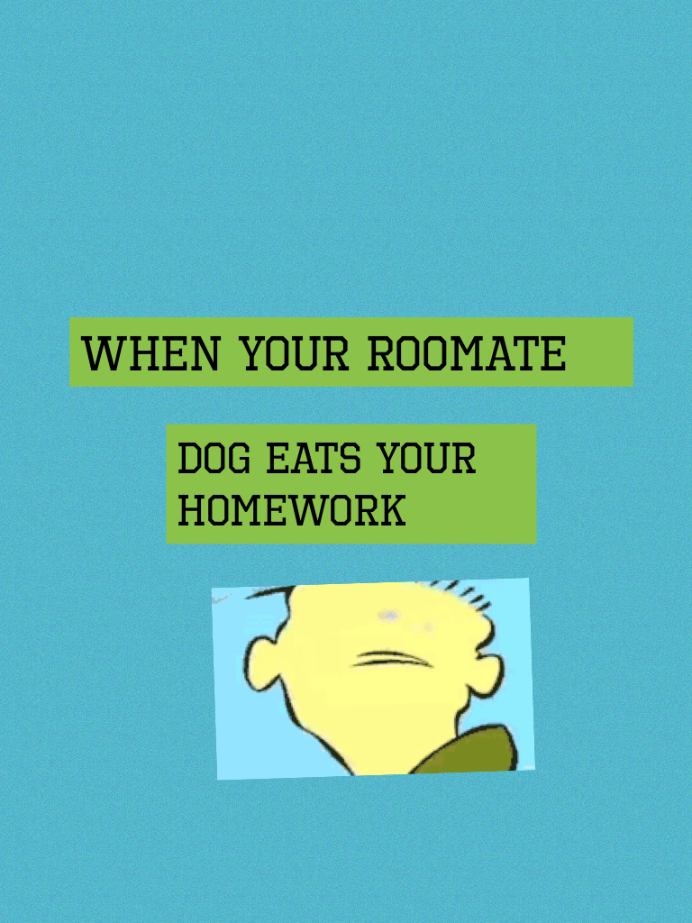 Don't let the dog eat the homework 