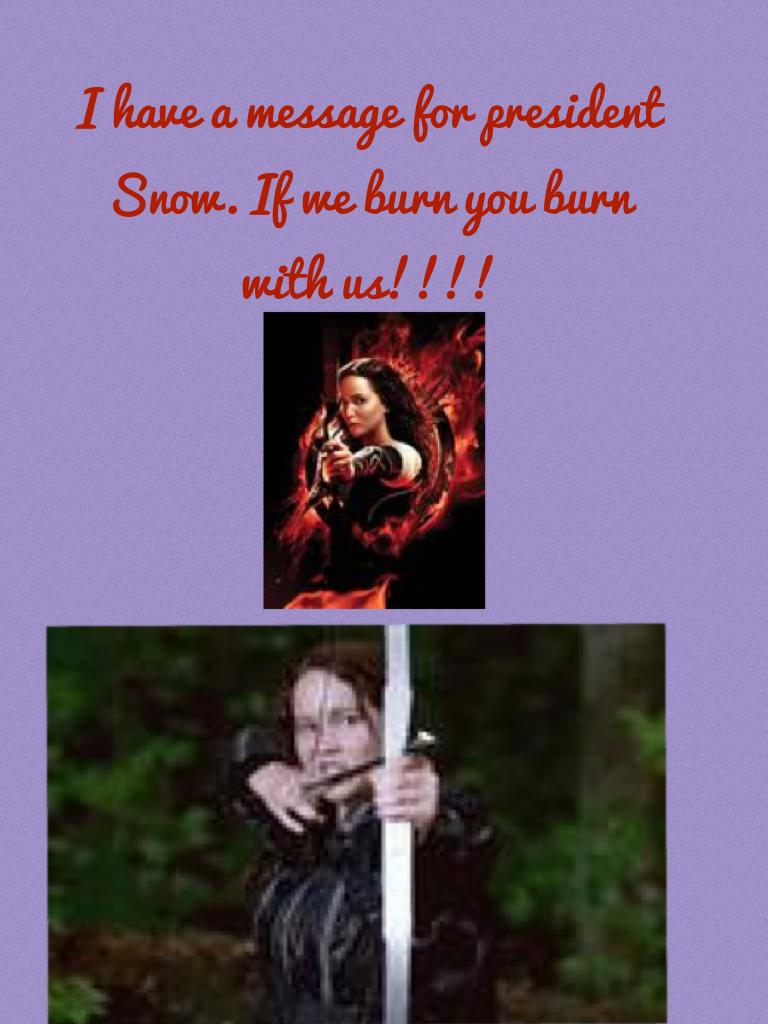 I have a message for president Snow. If we burn you burn with us!!!!