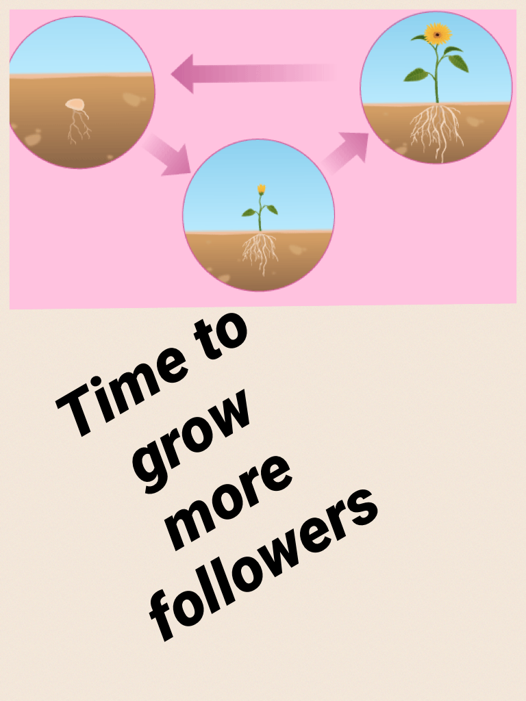 Time to grow more followers 