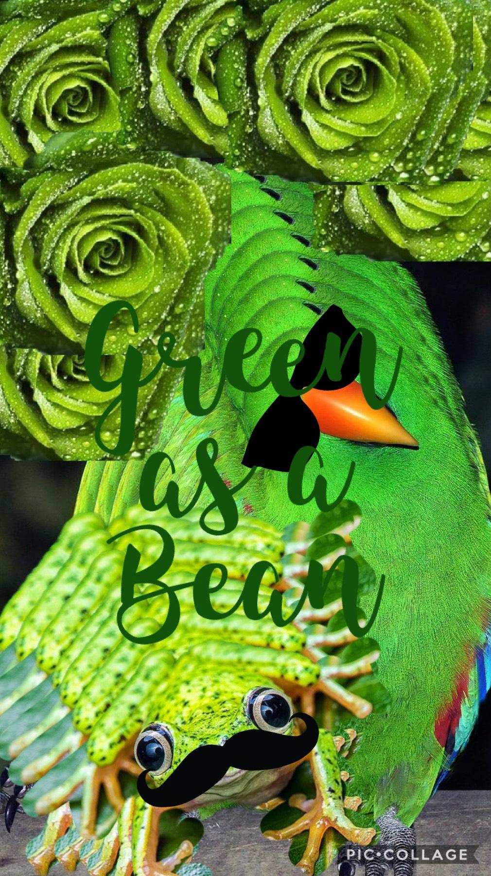 Stay Green! Reuse Reduce Recycle! Have a happy day!