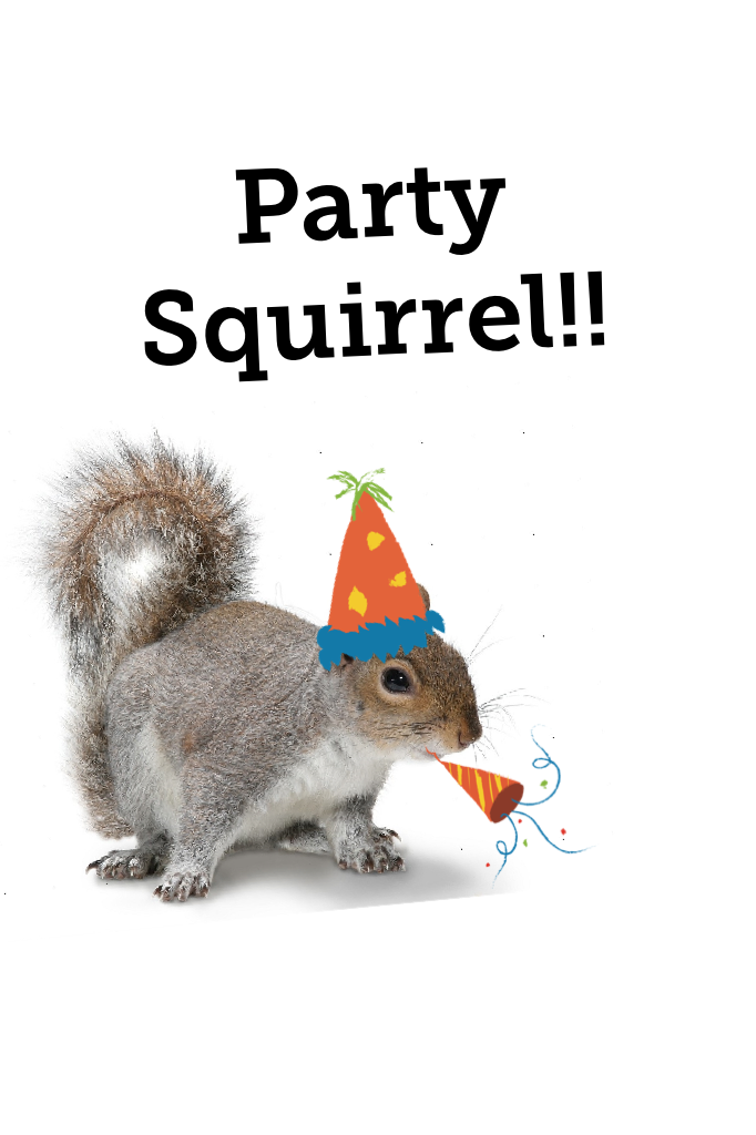 Party Squirrel!!