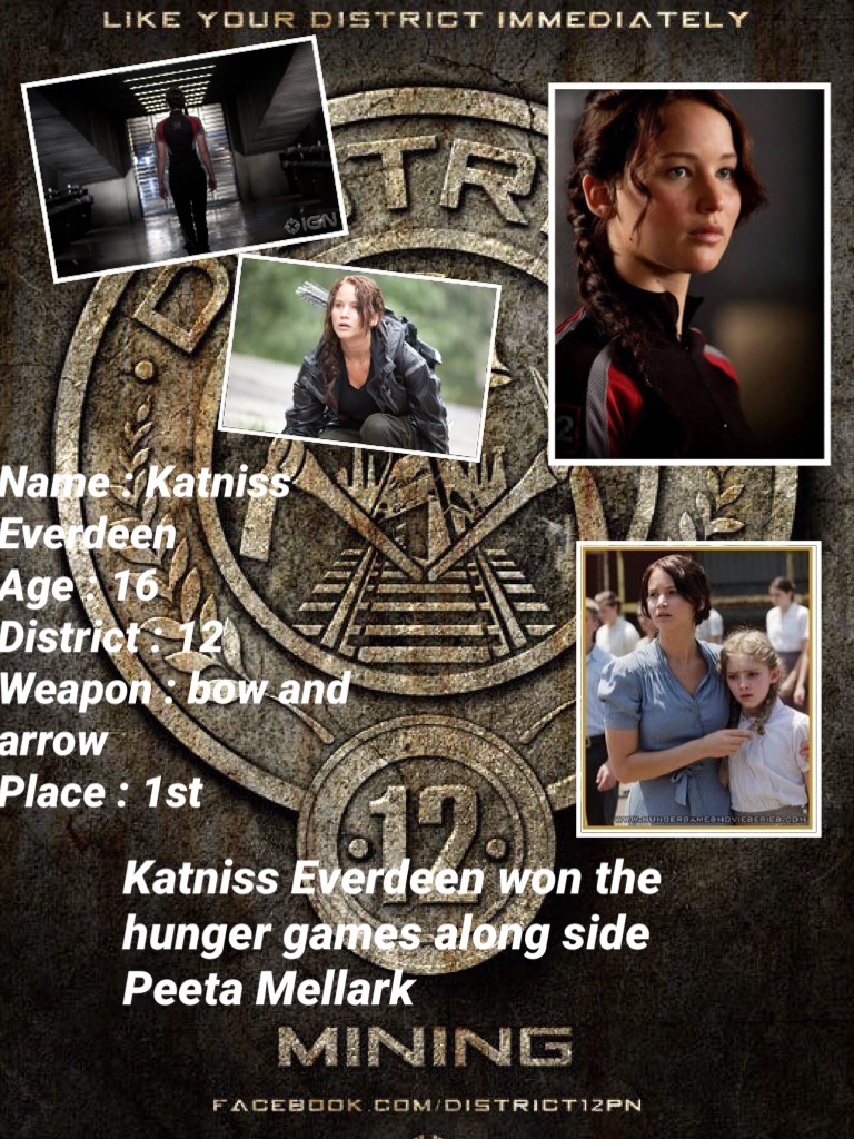 Hunger Games...

Katniss Everdeen 

Mocking Jay