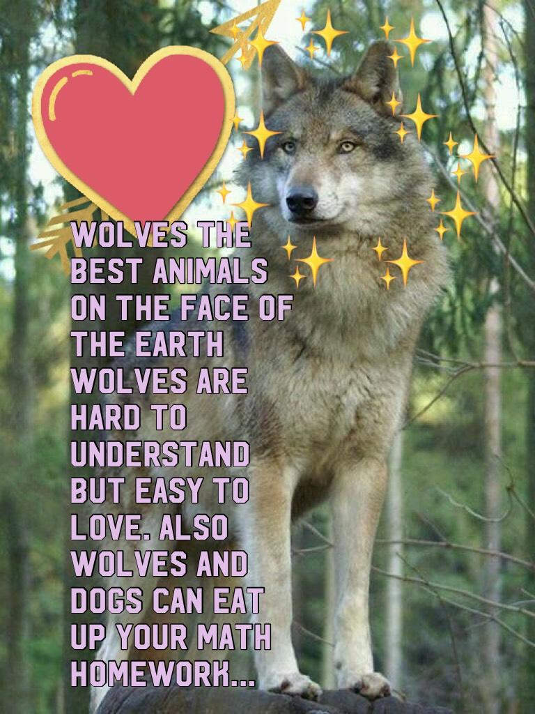 Wolves are Beautiful 