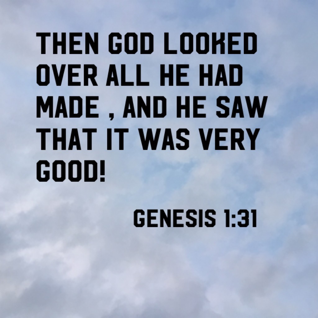 Then god looked over all he had made , and he saw that it was very good!
