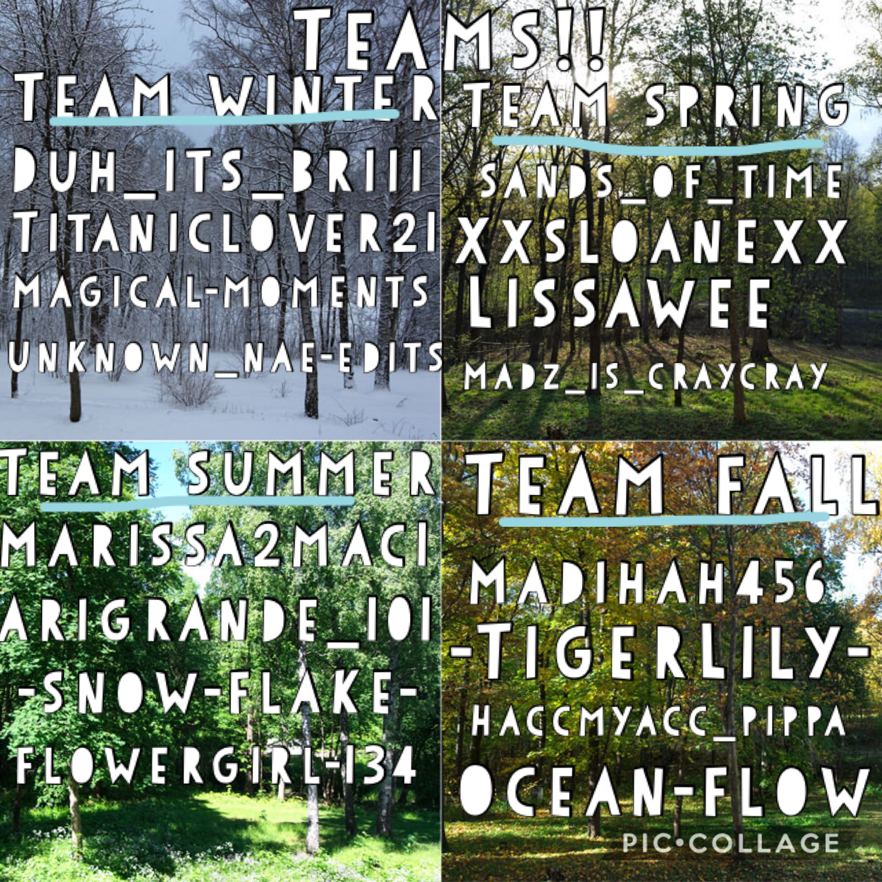 These are the teams for my season games!! Round 1 will be up soon!
