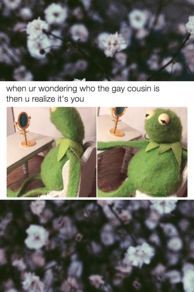 I am the gay cousin. Wby? 