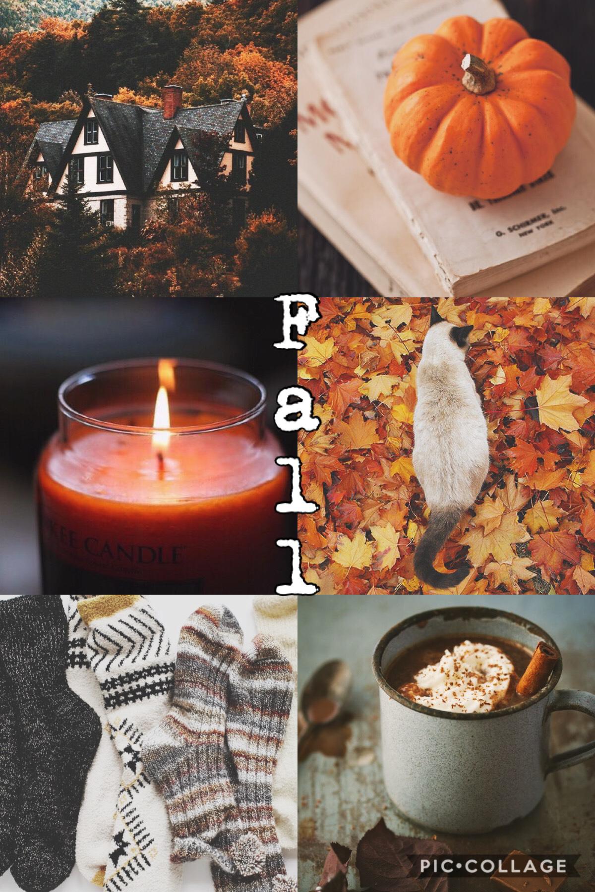 Not totally satisfied with this. 🤷🏻‍♀️ 🍁 ☕️ 🧦 🏡 🐈 🕯 🎃 Even tho it’s still fall for another month, I really need to finish posting things for it since I’ll be doing Christmas stuff soon. 😆 🗓 🎄 It’s National Play Monopoly Day! 🎲