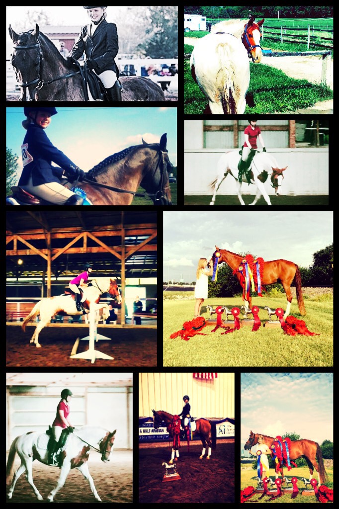 Horses are my life 