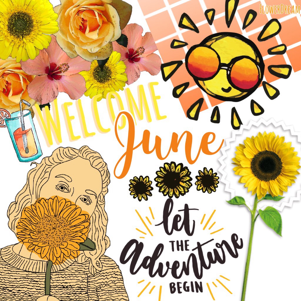 🌻🌻🌻My school is almost out! Just two more days! Also this was a fun collage to make 🌻🌻🌻