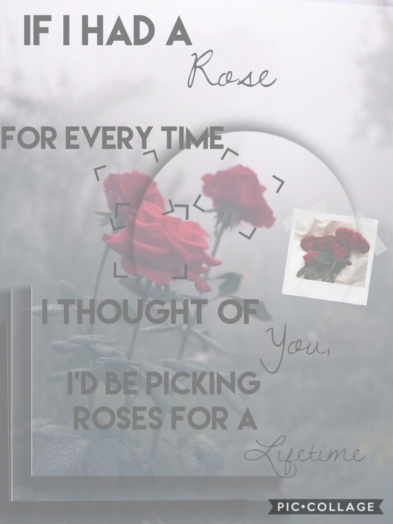 🌹TAPPPP🌹 


I had to post this I was too impatient I love this one😍 (mostly bc there are roses) anywaysss I hope you guys have a great day!❤️