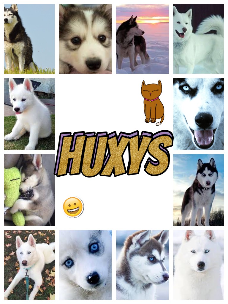 Huxys 