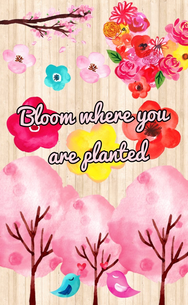 Bloom where you are planted
❣