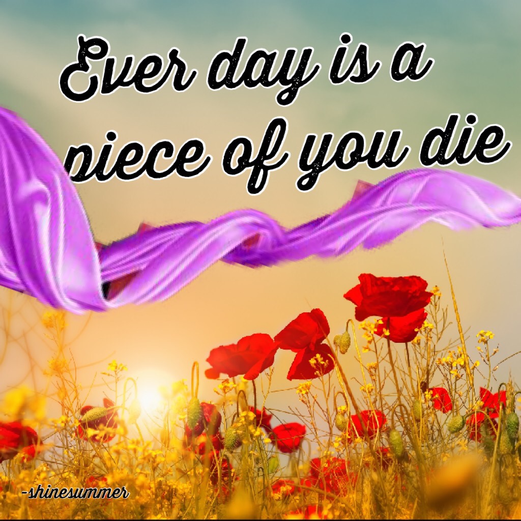 Ever day is a piece of you die 