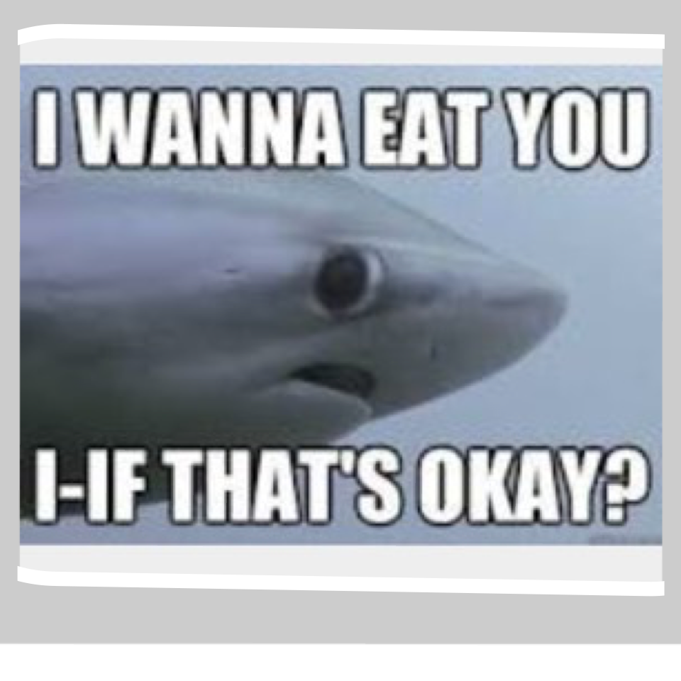 Its ok shark... AHHHH